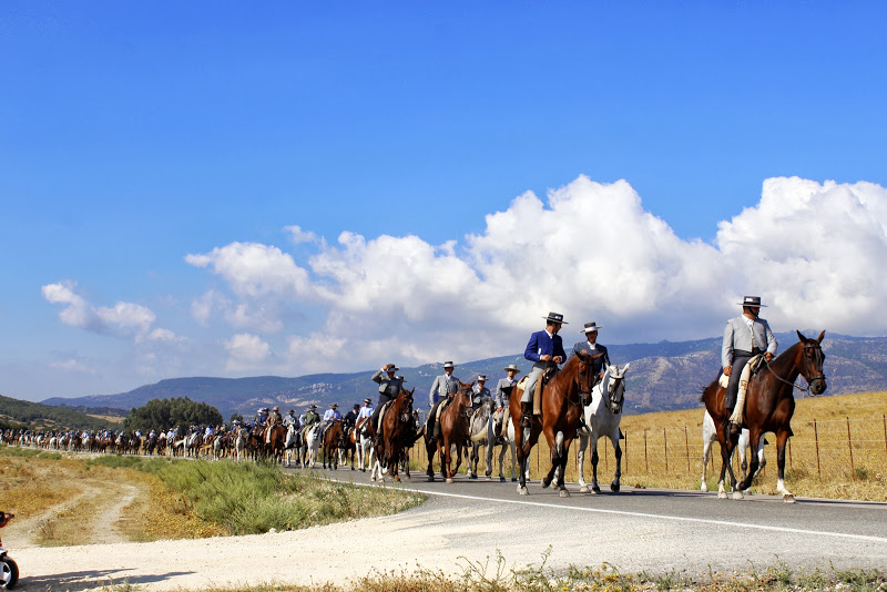 Cabalgata-01-09-035