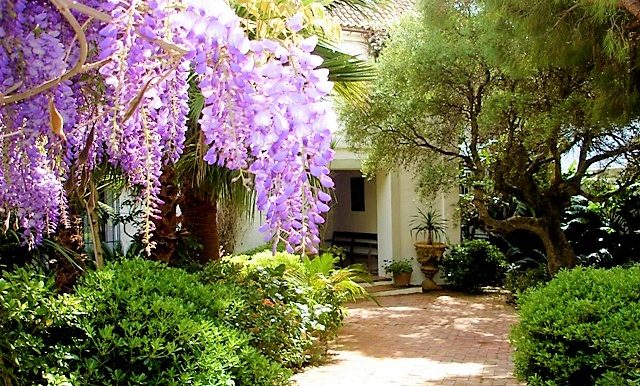 Main Courtyard