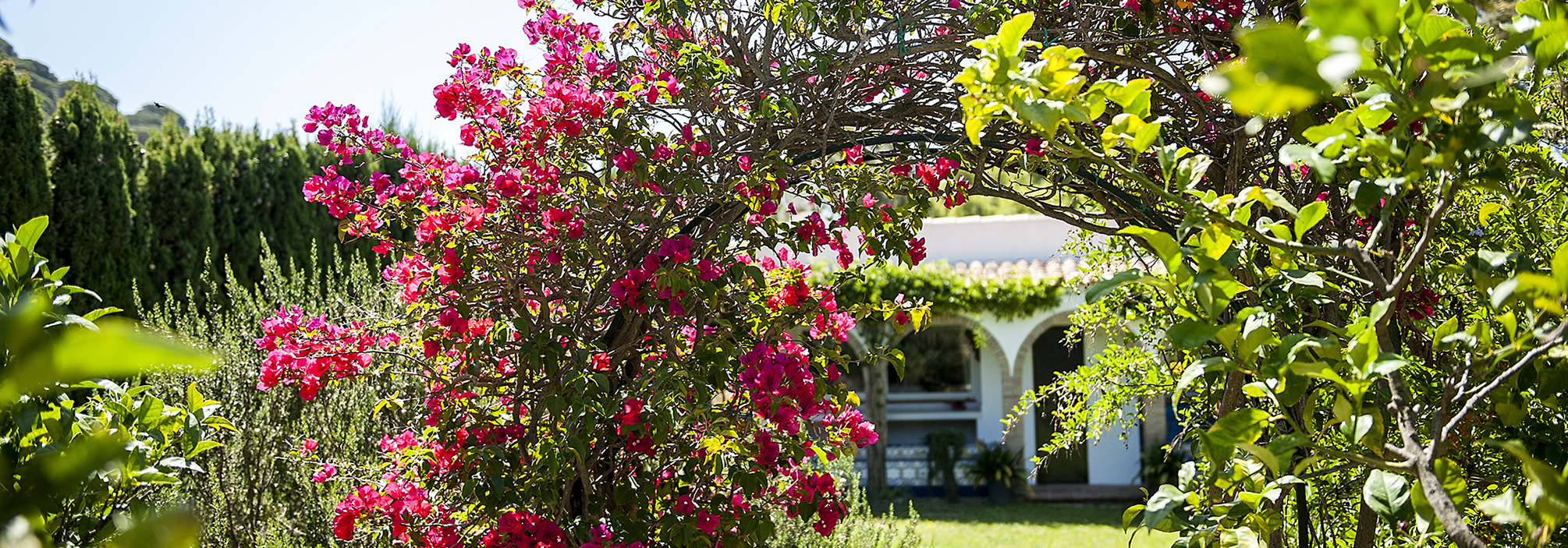 CASA DE CAMPO CERCA DE TARIFA