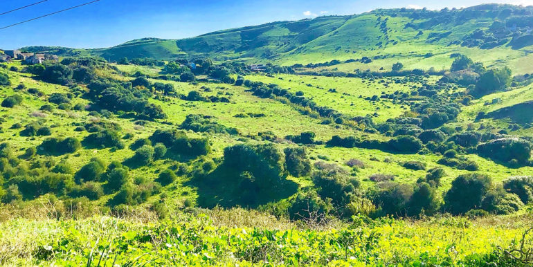 Vista montaña